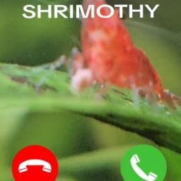 shrimothy