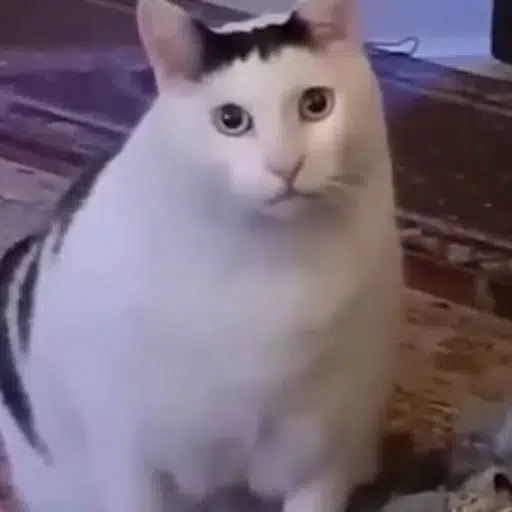 HUH