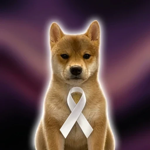 Ribbon