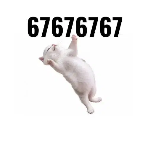 67CAT logo
