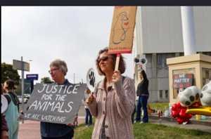 Animals