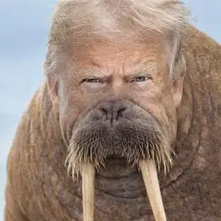 TUSK