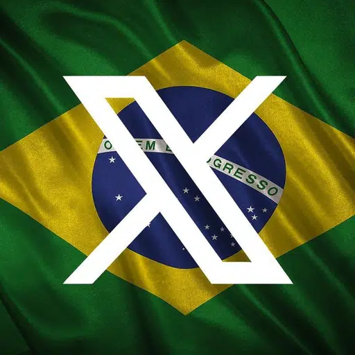 B𝕏