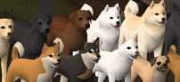 RuneDogs
