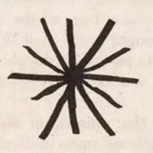 Vonnegut