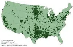 WNV