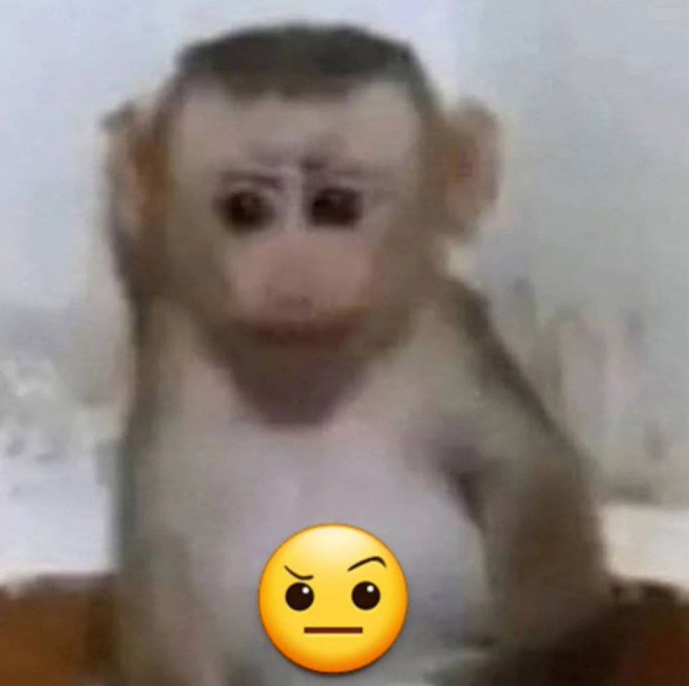 MONKE