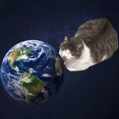 LICKINGCAT logo