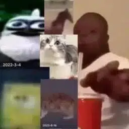 144p