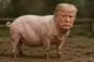 pignald