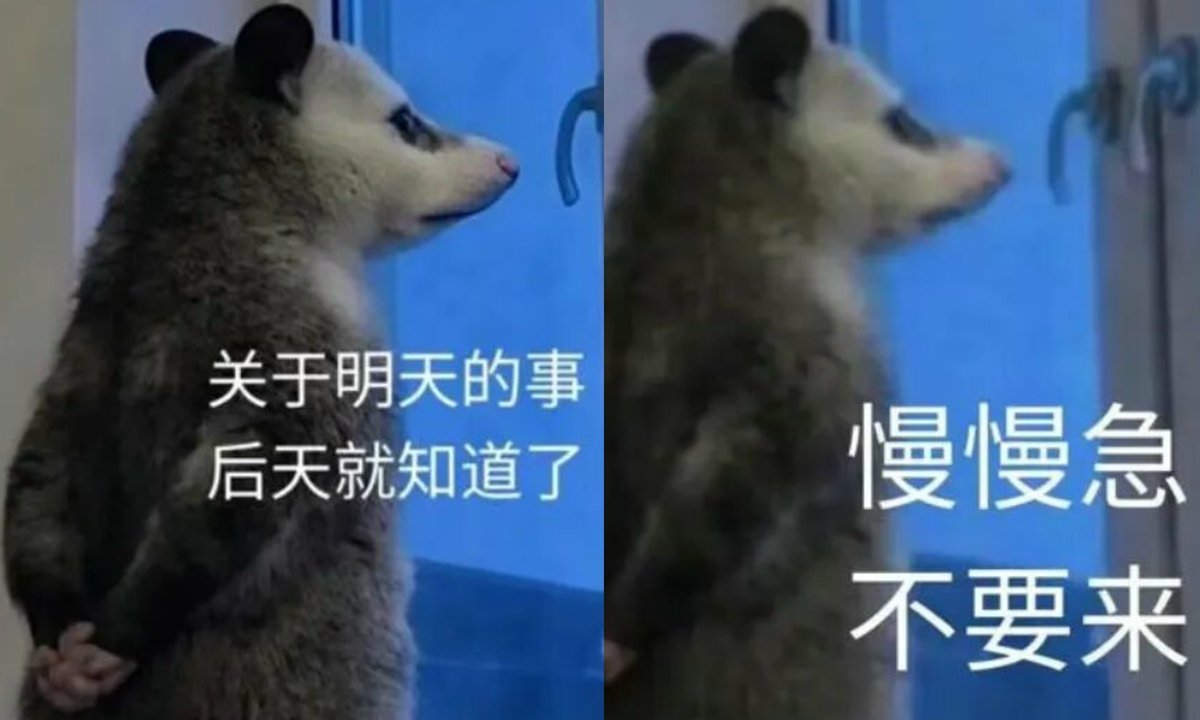 OPOSSUM