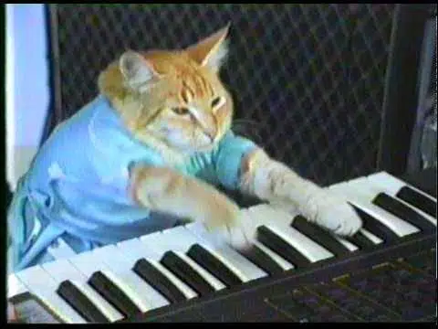 KEYCAT