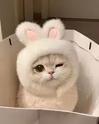 cute