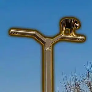 DOL