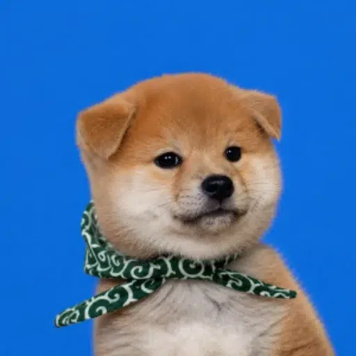 Mamesuke