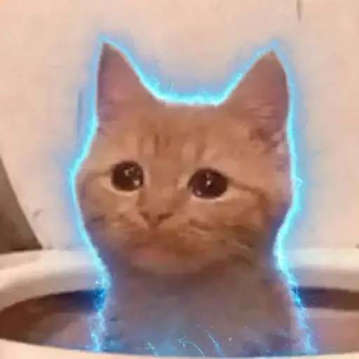 POOPCAT