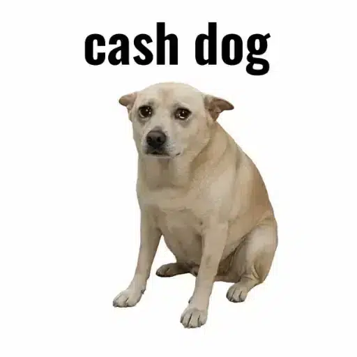 CASHDOG