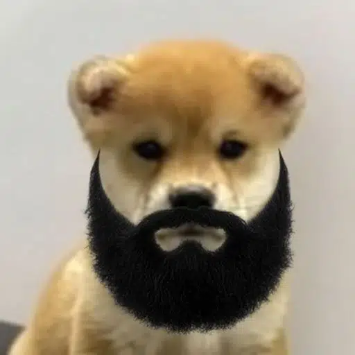 VIKING