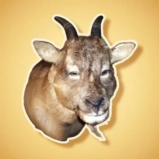 Niu