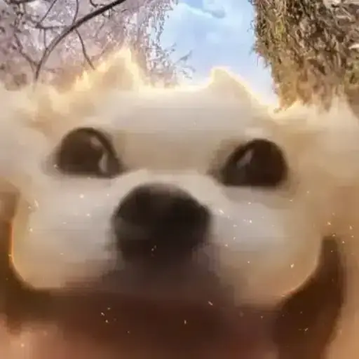 meepdog