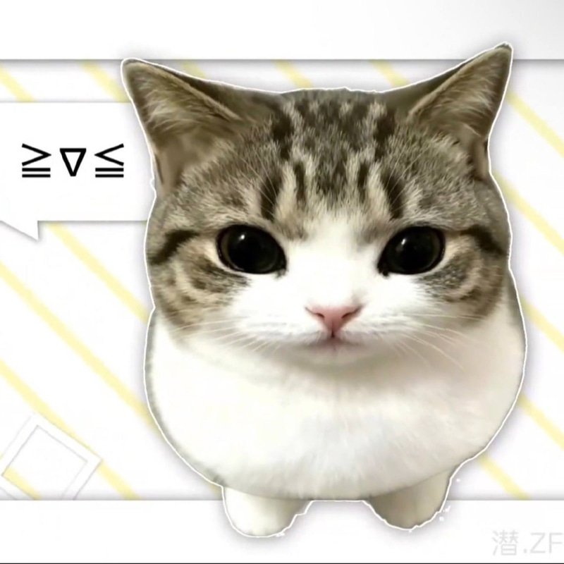 smoothcat