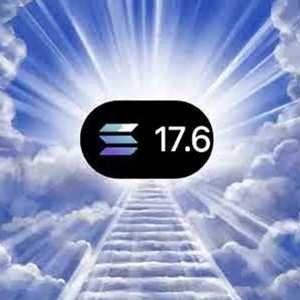 17.6