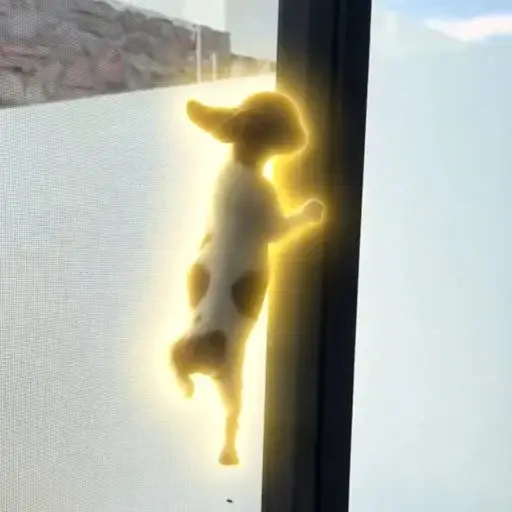 SISYPUP