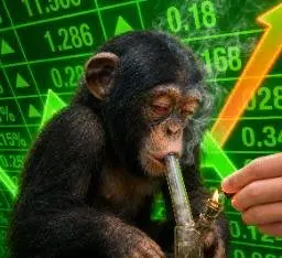 monkey