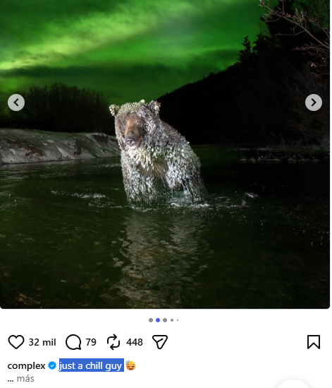 CHILLBEAR