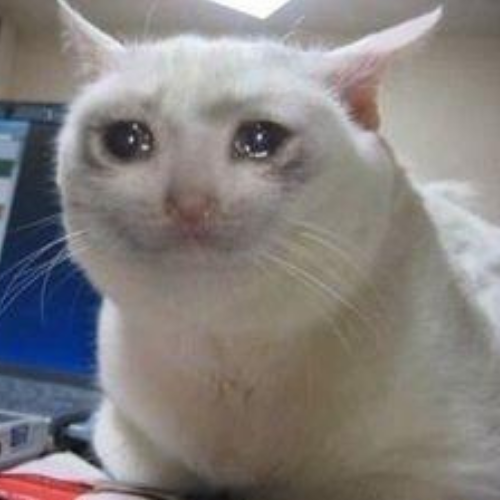 CRYING logo