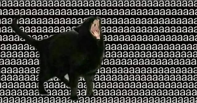 aaaaaaaaaa