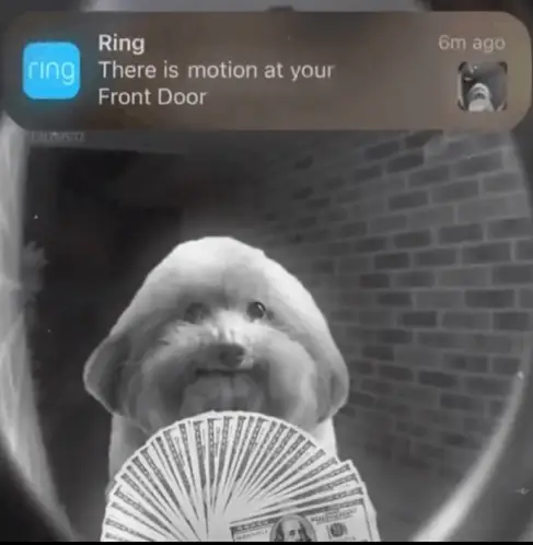 Motion