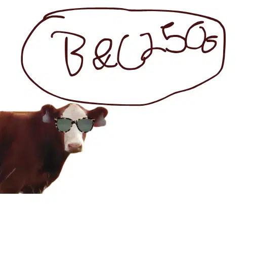B&C2500