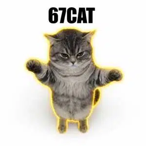 67cat