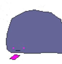WHALE