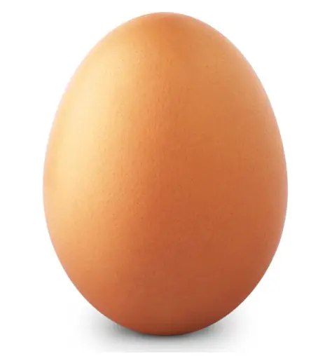 egg