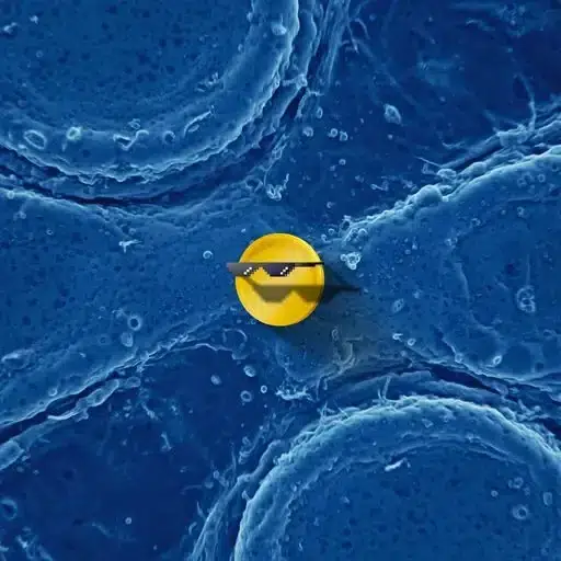 tyc