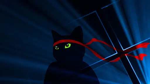 NINJACAT logo