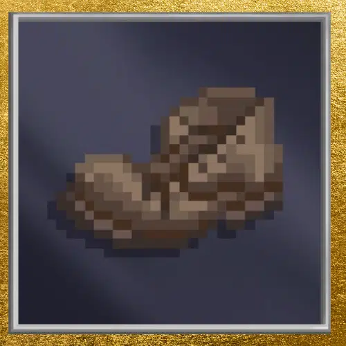 Shoe
