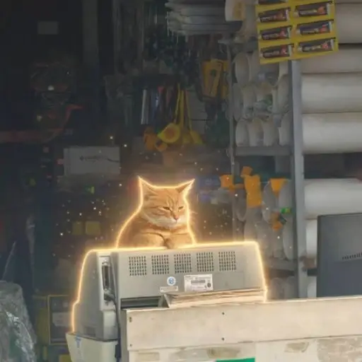 shopcat