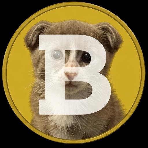 $billy token logo