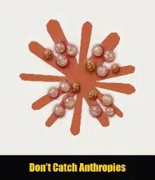 ANTHROPIES