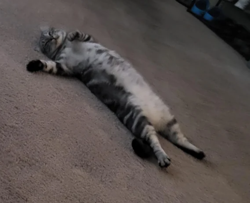 Zuzu