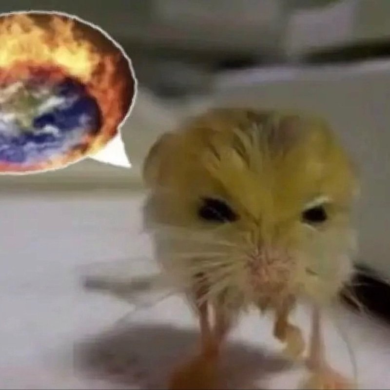 Jerboa