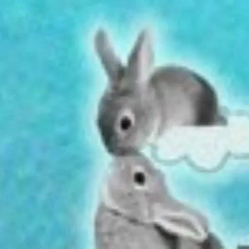 Rabbits
