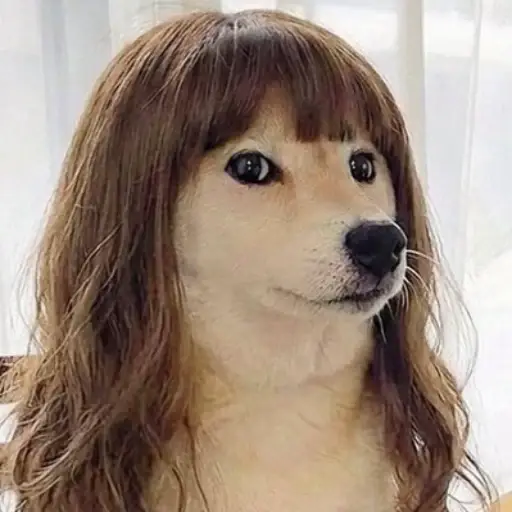 WIG