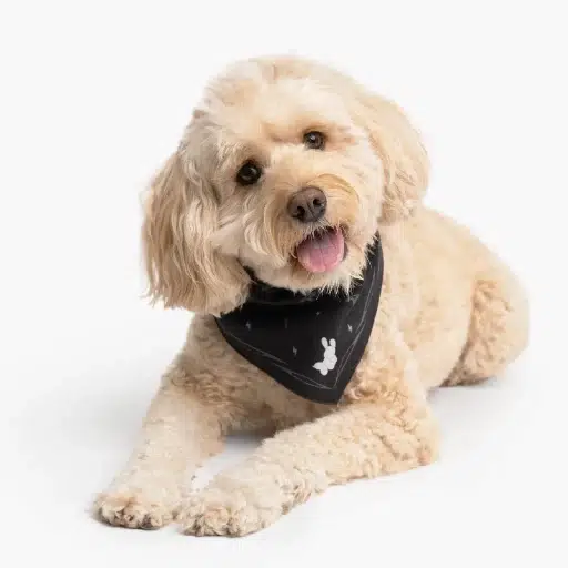 BANDANA