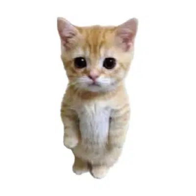 交易猫