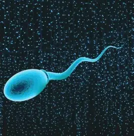 quantcum