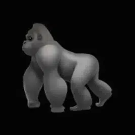 🦍